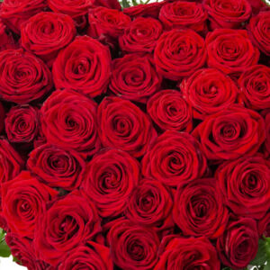 25 Rosor