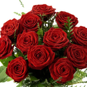 Storblommiga röda rosor 55-65cm