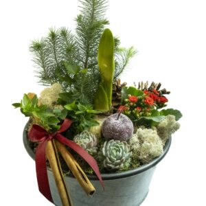 STOR GRUPP I ZINKSKÅL