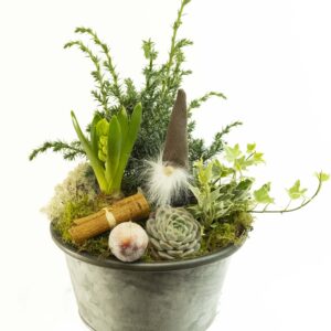 MELLAN GRUPP I ZINKSKÅL