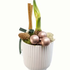 DEKORERAD AMARYLLIS VIT